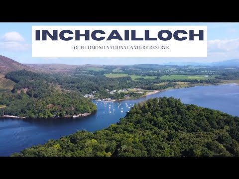 Exploring Inchcailloch Island: A Hidden Gem in Loch Lomond and the Trossachs National Park