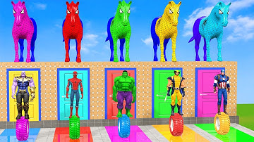 Long Slide Game with Cow Elephant Gorilla Hippopotamus Tiger 3d Animal Game Funny 3d Animals