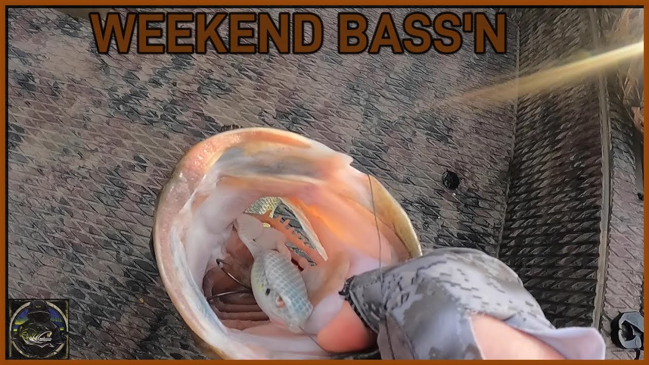 Mississippi Frog Bass Fishing in May 5-11-24
