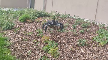 CSIRO openshc running on 18 DoF hexapod outdoor testing
