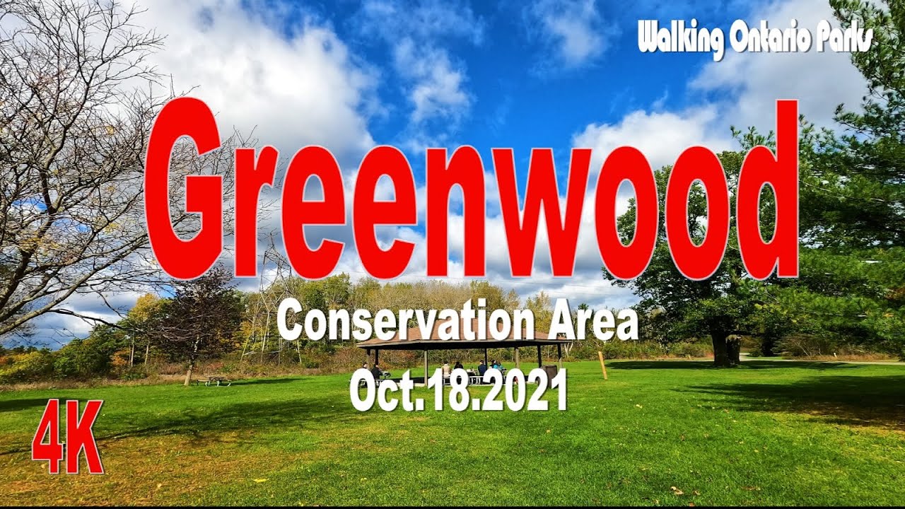 [4K] Greenwood Conservation Area, 3, [2021.10.18] YouTube