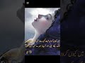 Urdu poetry #youtubeshorts #sadurdugazal #poetry #shayari #song