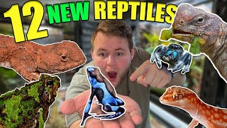 12 NEW ADDITIONS to the REPTILE ROOM!!