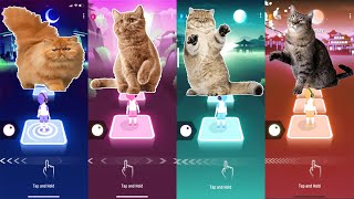 Tiles hop EDM rush Cute Cats -  Bloody Mary - Last Christmas - As It Was screenshot 5