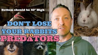Whats Killing My Rabbits? Stop The Rabbit Predators