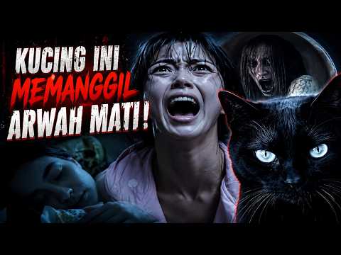BLACK CAT (2026) FULL STORYLINE | TERROR OF THE SPIRIT-CALLING CAT