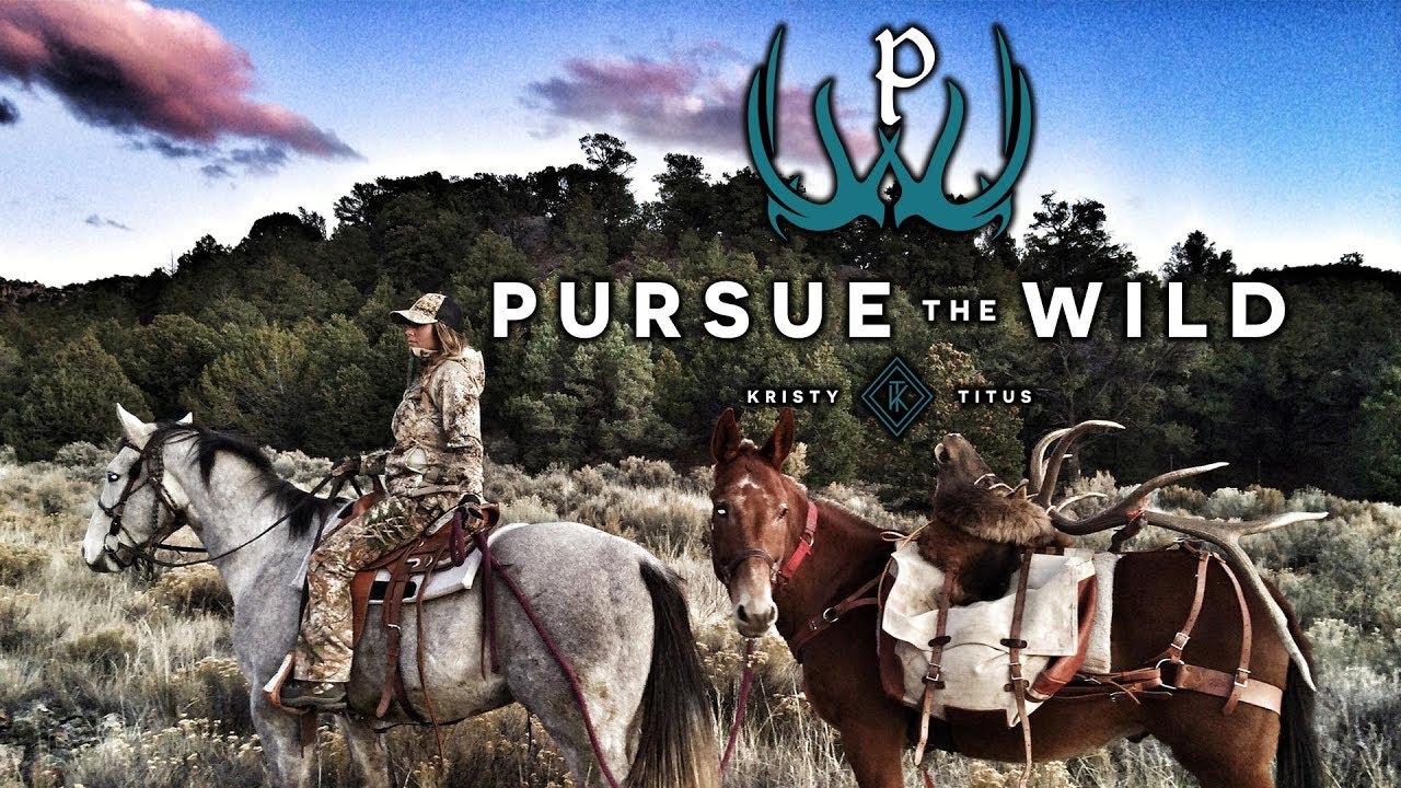 Utah Elk Hunting with Kristy Titus YouTube