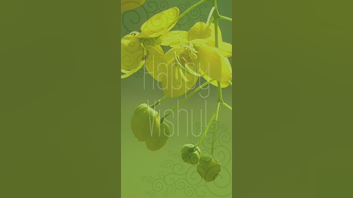 Happy Vishu! #Shorts