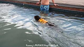 King of the pool! by The Best of Rummy's Beach Club 64 views 3 months ago 1 minute, 20 seconds