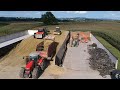 Filling Bunker Silos | Corn Silage Harvest 2021