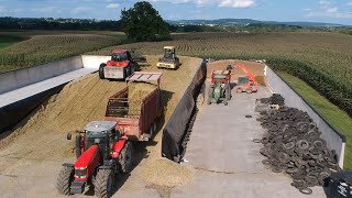 Filling Bunker Silos | Corn Silage Harvest 2021