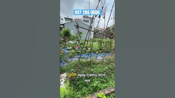 Không tin được đất Đa Tốn còn xót lại #datkieuky #datdaton #datgialam #xuhướng