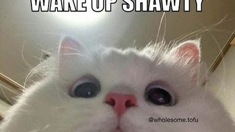 Bismuth by ImMaxX1 100% [Insane demon] | Geometry dash