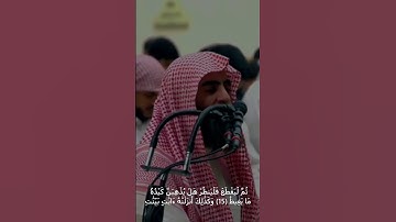 آيات عظيمة من سورة الحج تُتلى بخشوع 🌸