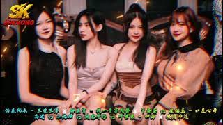 DJ Remix 2025 海来阿木 - 三生三幸 ✘ 邰正宵 - 找一个字代替 ✘ 丫蛋蛋 vs 崔铭嘉 - 口是心非 ✘ 高进 vs 小沈阳 vs 迪克牛仔 vs 叶世荣 - 四海 ✘ 擦肩而过