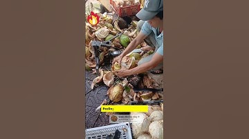 dụng cụ lọt trái dừa cực nhanh, nông dân miền tây sáng chế #ff #videoviral