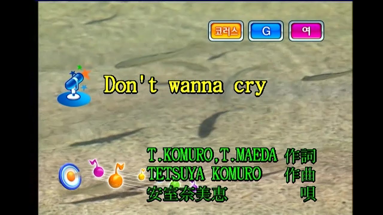 安室奈美恵 (아무로 나미에) - Don't wanna cry (KY 40526) 노래방