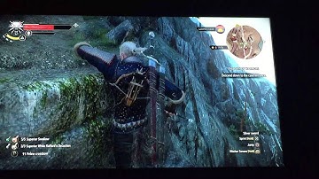 The Dwarf Witcher Glitch