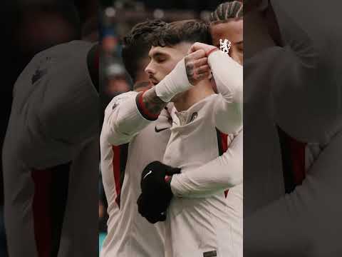 Pedro Neto appreciation 🥰