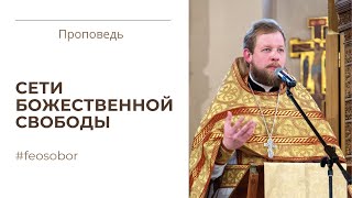 Первые ученики. Проповедь иерея Вячеслава Завального