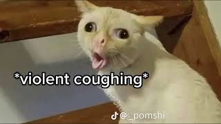 Dabloon cat gets you sick. :(