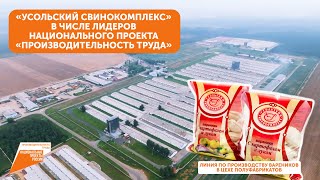 СХПК «Усольский свинокомплекс» в числе лидеров национального проекта «Производительность труда»