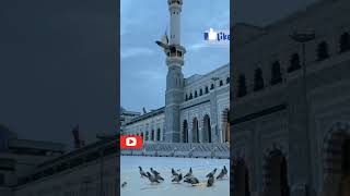 Beautiful Voice  ❤Alal Madina #shorts #youtubeshorts #madina #shortsfeed #viral