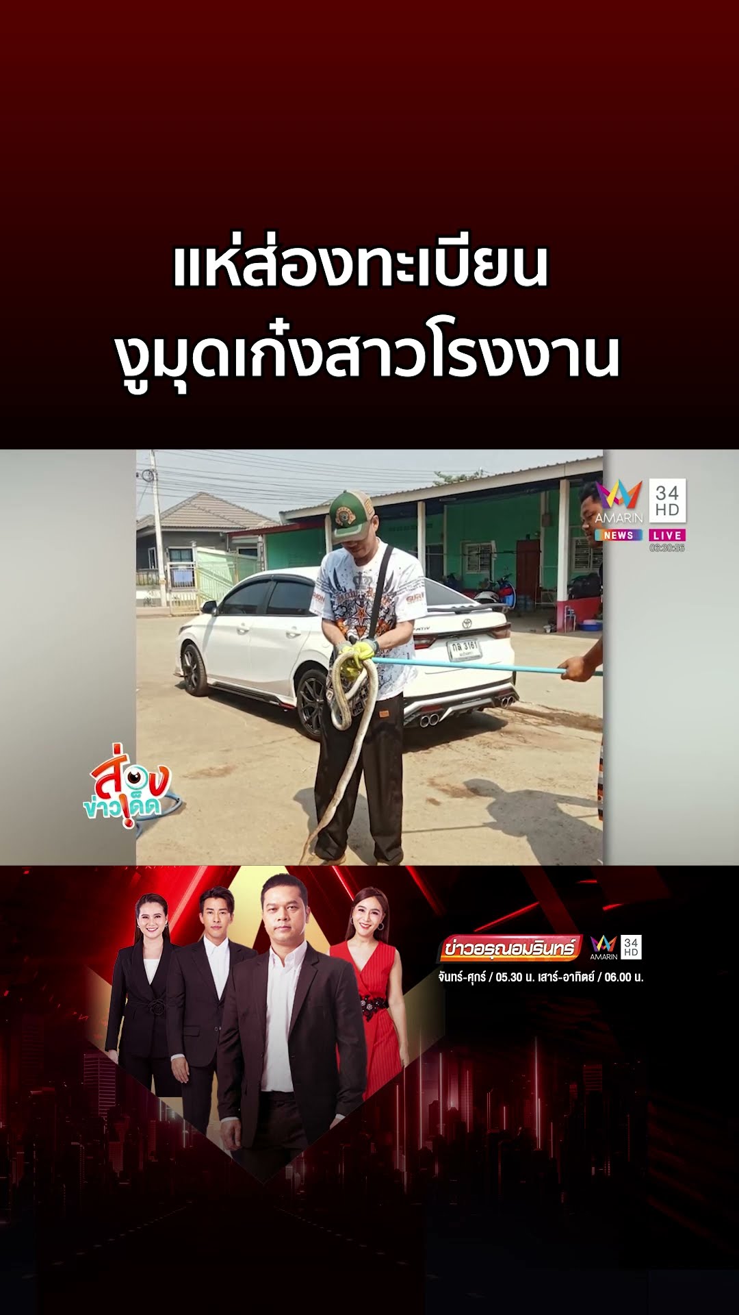 สาวโรงงานแทบช็อก! งูทางมะพร้าวมุดเก๋ง คอหวยแห่ส่องทะเบียน | ข่าวอรุณอมรินทร์
