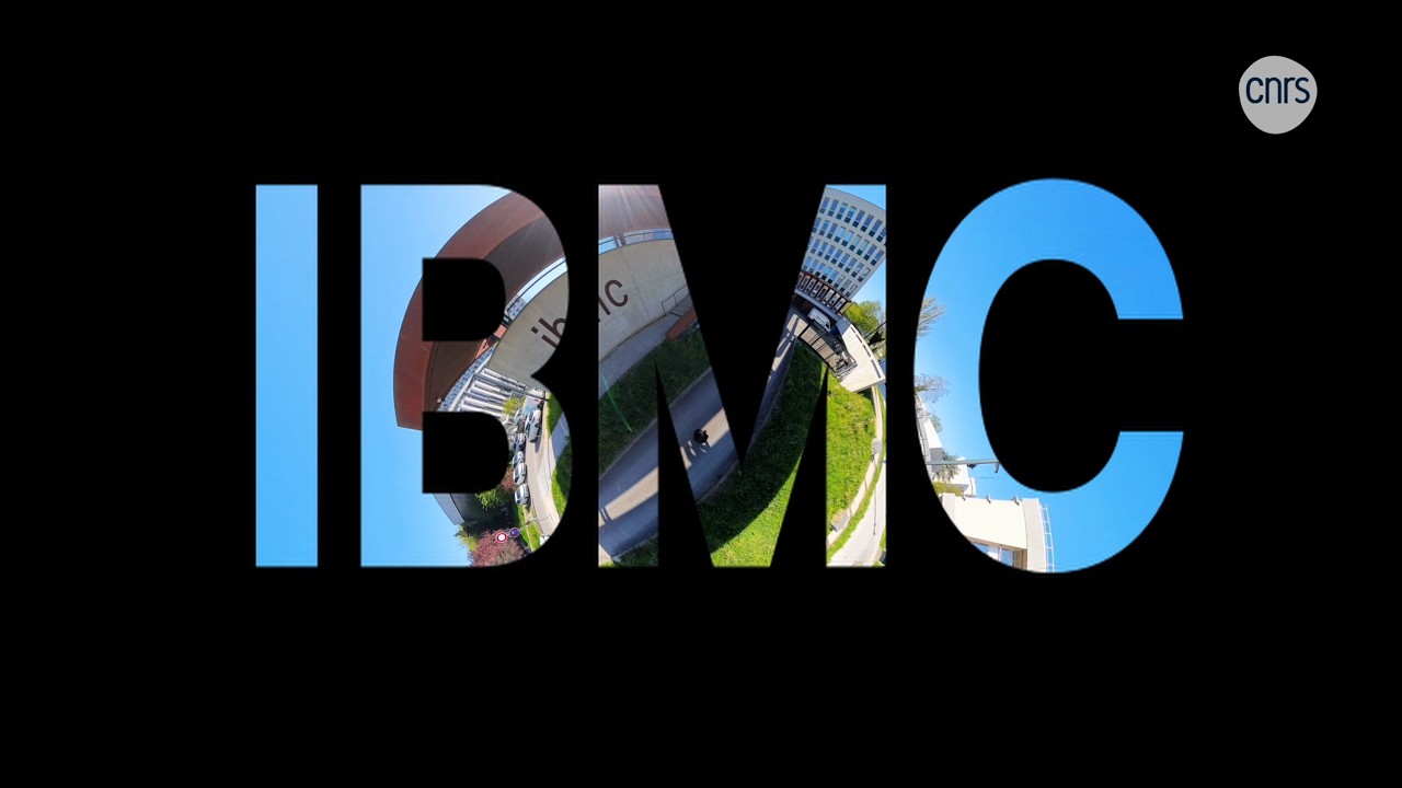 Vidéo de présentation de l’IBMC - YouTube