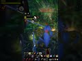 WoW Classic Ashenvale Hunter RP PvP vol. 109 #shadowstride  #worldofwarcraft #pvp