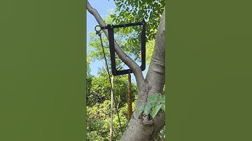 Smart Tool #handyhacks #tips #diy