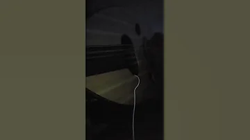 مقدر اعيش الواقع المر بسكات 