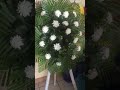 Funeral flower arrangement Part 2 #funeral #arrangement #flowerarrangement