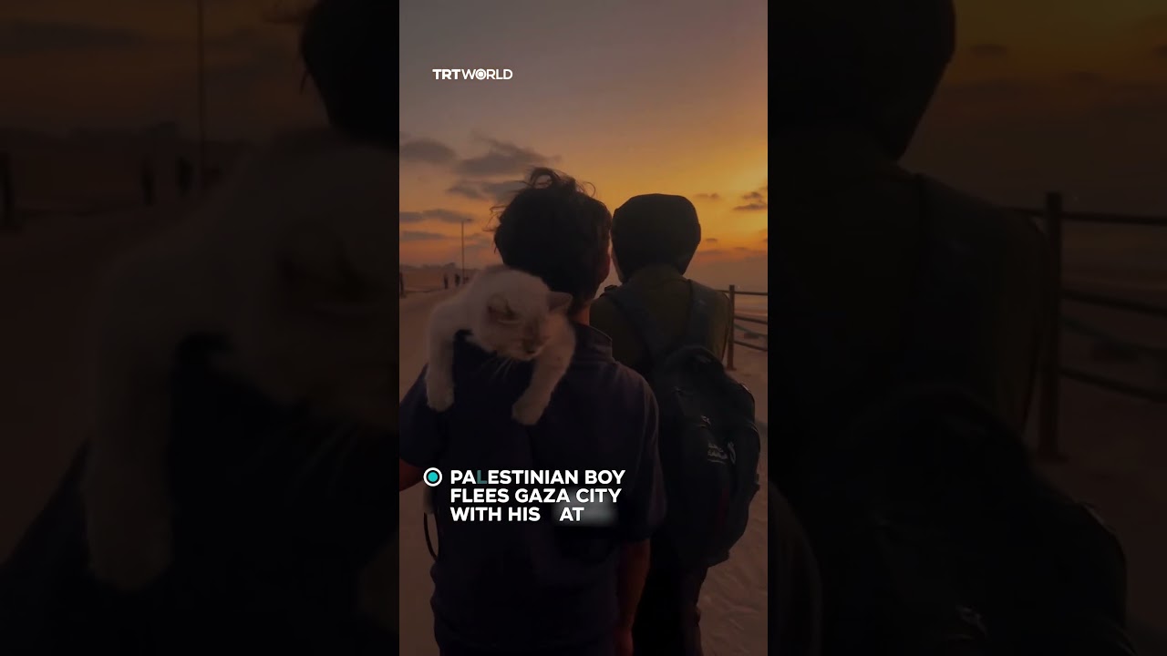 Palestinian boy carries cat while fleeing Gaza City