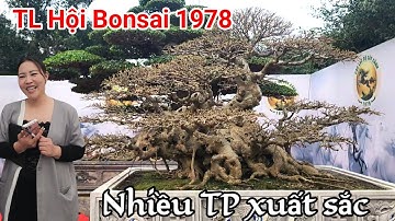 Nhiều TP xuất sắc tại triển lãm Cây cảnh hội Bonsai 1978 tại Duy Tiên Ninh Bình 