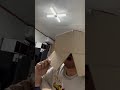 애 국 가 