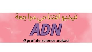 مراجعة بنية ال ADN ..باك 2024