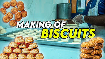 How Biscuits Are Made - Satisfying Process In 4k Ultra HD || Brain Massage