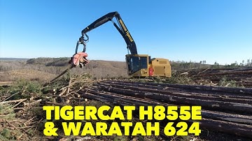 Tigercat H855E with a Waratah 624c processor head
