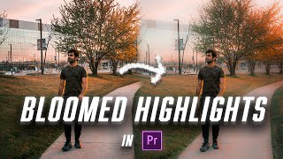 Black Pro Mist filter effect - Free Premiere pro preset - Hindi premiere pro Tutorial