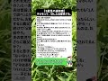 【5歳児の違和感】子どもって、ほんと全部見てる。#5歳児 #子どもの言葉 #育児の現実 #夫婦関係 #ママの本音#義父#モヤモヤ#放置育児 #外面いい人#子どもは正直#責任転嫁