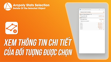 Arcpoly Stats Selection - Xem Thông Tin Chi Tiết Của Đối Tượng Được Chọn
