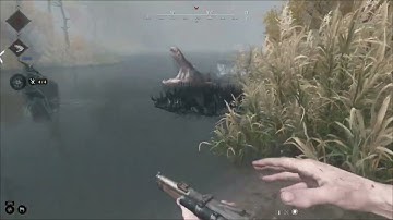 Hunt: Showdown Highlights - Mostly Extracts