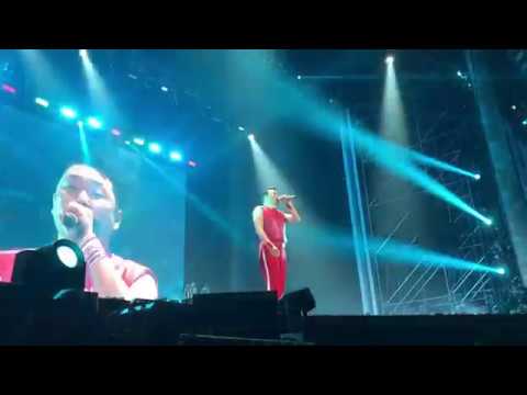 171224 싸이 올나잇스탠드 2017 밤샘의 갓싸이 부산 막공 새(Bird) (PSY All Night Stand In Busan Concert)