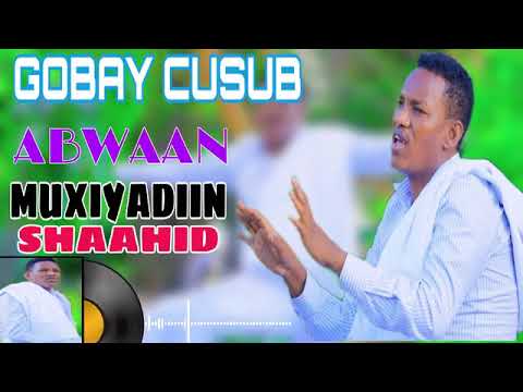 Abwaan MUXIYADIIN Shaahid Gabay Cusub 2024