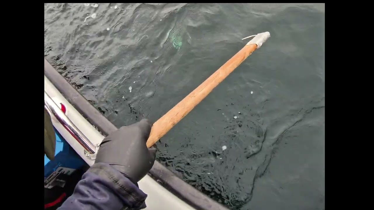 Fishing in skarnsundet 2026 best moments 