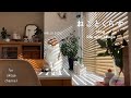 猫と過ごす年末年始・おせち料理と福袋【猫と暮らしのvlog】
