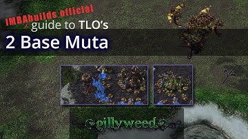 IMBAbuilds Audio Walkthrough - TLO