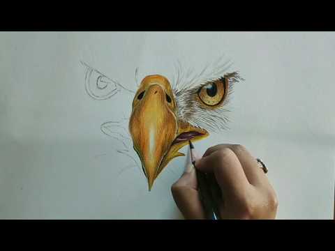 Easy! How to