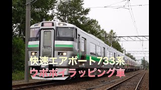 733系快速エアポート小樽行  ウポポイラッピング車